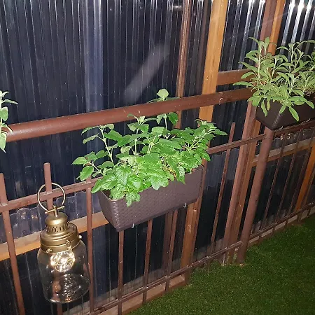 Garden Main Square Apartment *