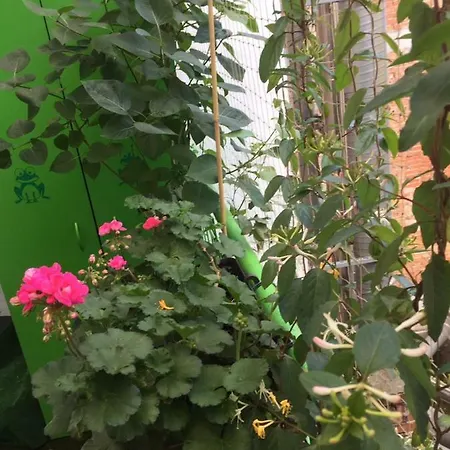 דירה Garden Main Square
