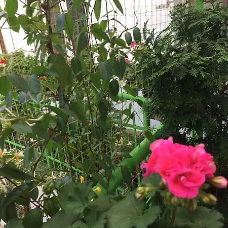 דירה Garden Main Square